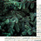 Kaisercraft  Emerald Eve Double-Sided Cardstock 12in x 12in - Evergreen