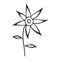 Darkroom Door Cling Stamp 4.5X3 - Pointy Petals