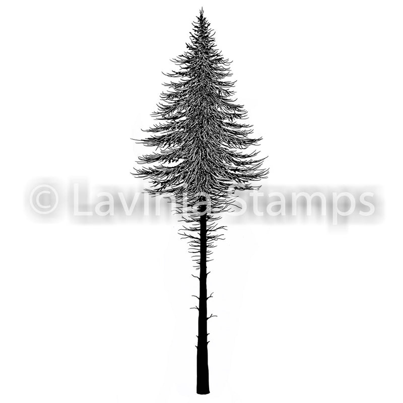 Lavinia stamps - Fairy Fir Tree 2