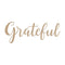 Spellbinders Glimmer Plates Sweeping Grateful*