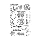 Hero Arts Clear Stamps 4in x 6in - Zest Wishes*