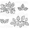 Heartfelt Creations Cling Rubber Stamp Set 5 inch X6.5 inch Leafy Accents 1 inch To 4.5 inch*