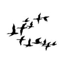 Lavinia Stamps - Ducks