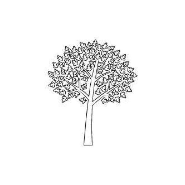 Memory Box Stamp - Oroville Tree