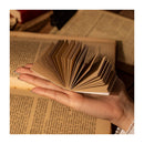 Poppy Crafts Celebrity Bookcase Collection - Leo Tolstoy*