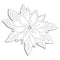 Penny Black Creative Dies - Poinsettia Cut Out 4inch X3.25inch