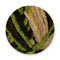 Poppy Crafts Big Ball Chateau Yarn 300g - Meadow - 100% Polyester