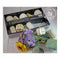 Prima Marketing Lanties 10 Led Light String 5.5' - Celebration
