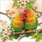 RIOLIS-Counted Cross Stitch Kit 7.75 inch X7.75 inch - Lovebirds (14 Count)*