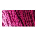 Red Heart Super Saver Ombre Yarn - Anemone