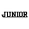 Scrapbook 101 - Mini Photogenix Laser Die-Cuts 2Inch X6inch  - Junior