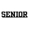 Scrapbook 101 - Mini Photogenix Laser Die-Cuts 2Inch X6inch  - Senior