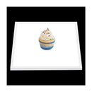 Universal Crafts LED Light Box Tracing Board*