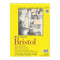 Strathmore Bristol Paper Pad 9X12 Inch - 270Gsm (20 Sheets)