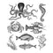Tim Holtz Cling Stamps 7X8.5 - Sea Life