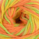 Premier Yarns Home Cotton Yarn - Multi - Citrus